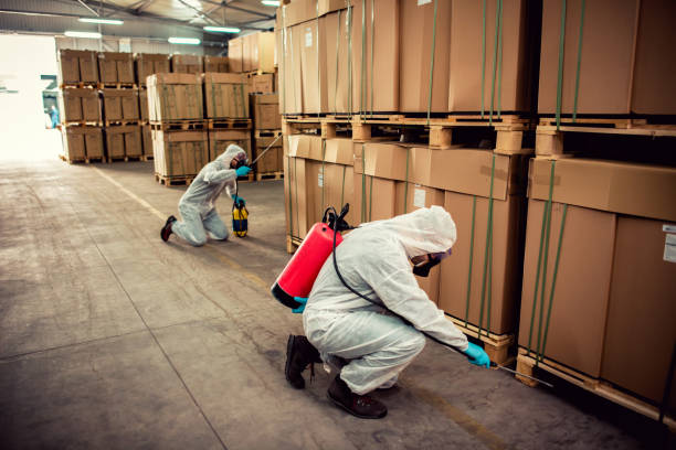 Best Residential Pest Control  in Wappingers Falls, NY