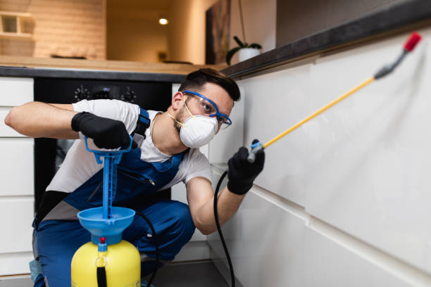 Best Pest Prevention Services  in Wappingers Falls, NY