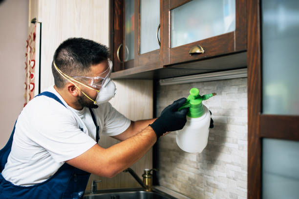 Best Best Pest Control Companies  in Wappingers Falls, NY
