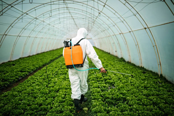 Best Best Pest Control Companies  in Wappingers Falls, NY