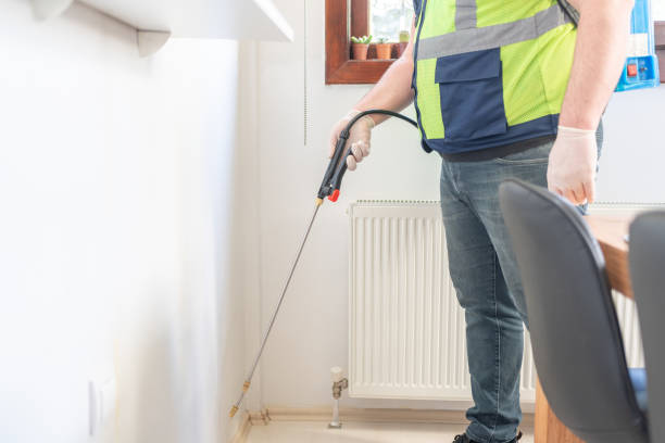 Professional Pest Control in Wappingers Falls, NY