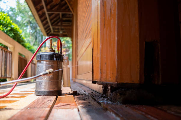 Best Rat Extermination Near Me  in Wappingers Falls, NY